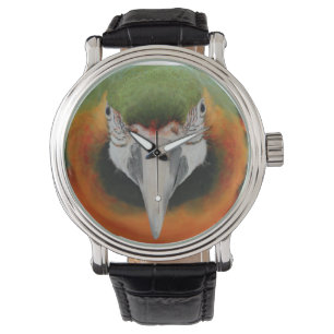 Harlequin macaw watch horloge
