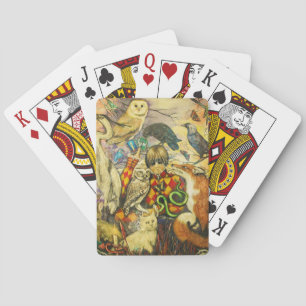 Harlequin Pokerkaarten
