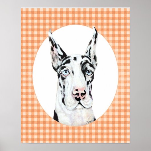 Harlequin Pup Peach Poster (Voorkant)