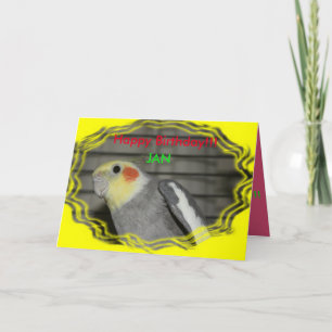 Harley Cockatiel Birthday Card Bedankkaart