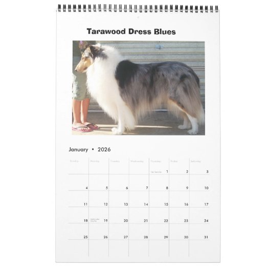 Harley Collies Kalender (Jan 2026)
