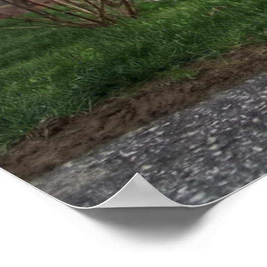 Harley Poster (Hoek)