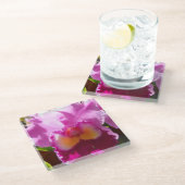 Harlinde Glazen Onderzetter (Schuin)