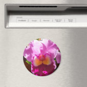 Harlinde Magneet (Insitu (Vaatwasser))