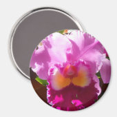 Harlinde Magneet (Voorkant / Achterkant)