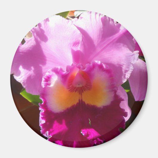 Harlinde Magneet (Voorkant)