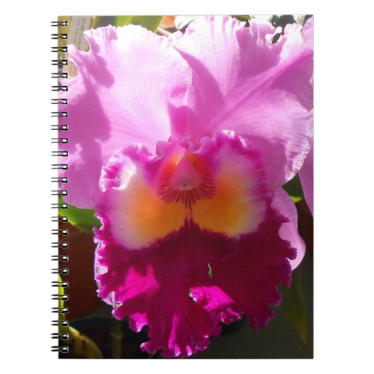 Harlinde Notitieboek (Voorkant)