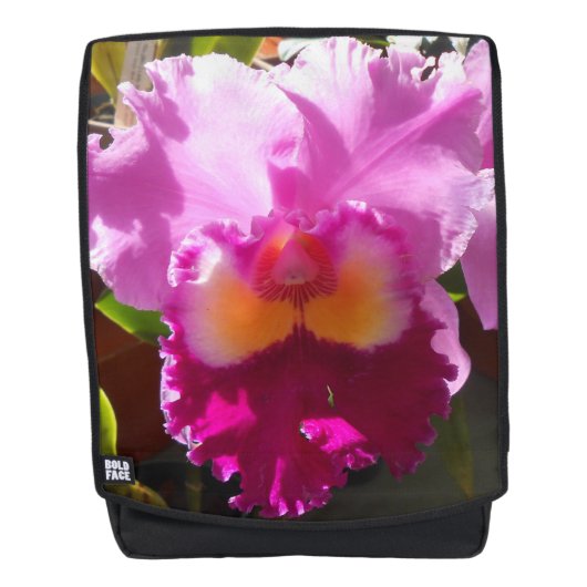 Harlinde Rugtassen (Voorkant)