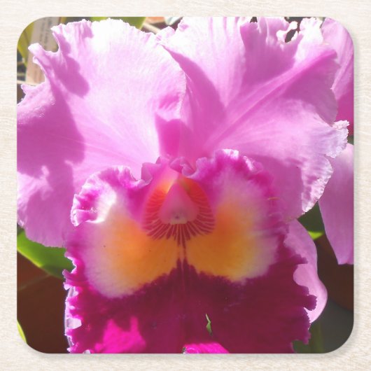 Harlinde Vierkante Kartonnen Onderzetter (Voorkant)