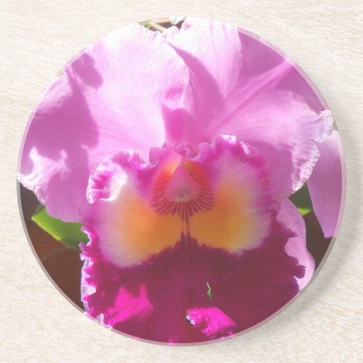 Harlinde Zandsteen Onderzetter (Voorkant)