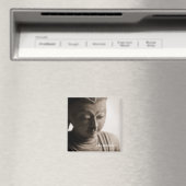 Harmonie ・ Magnet (In Situ (Lave-vaisselle))