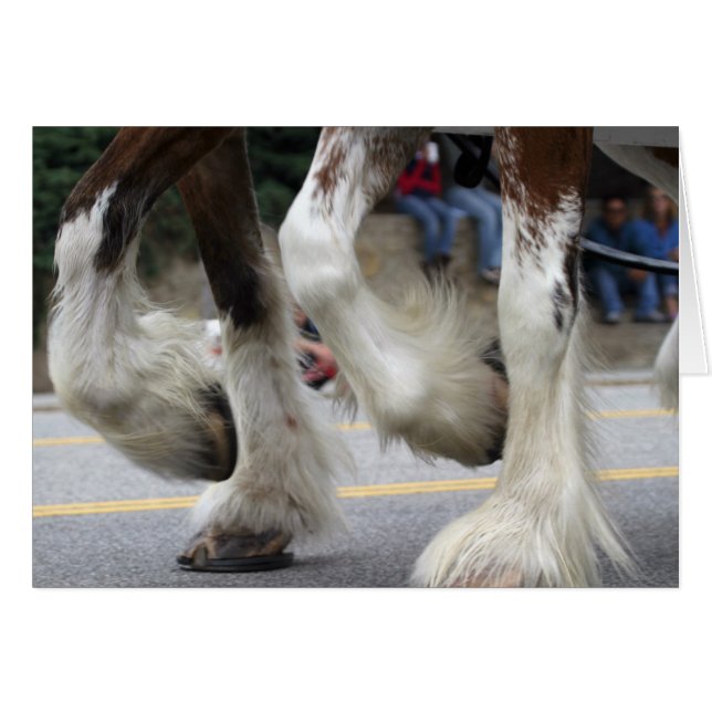 Harmony (Voorkant Horizontaal)