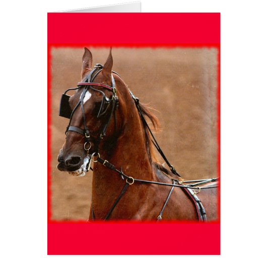 Harnais de plaisance Saddlebred Art numérique Bord (Devant)