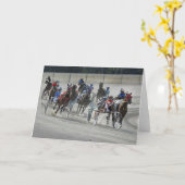 Harnais Racing La Dernière carte de virage (Fleur jaune)