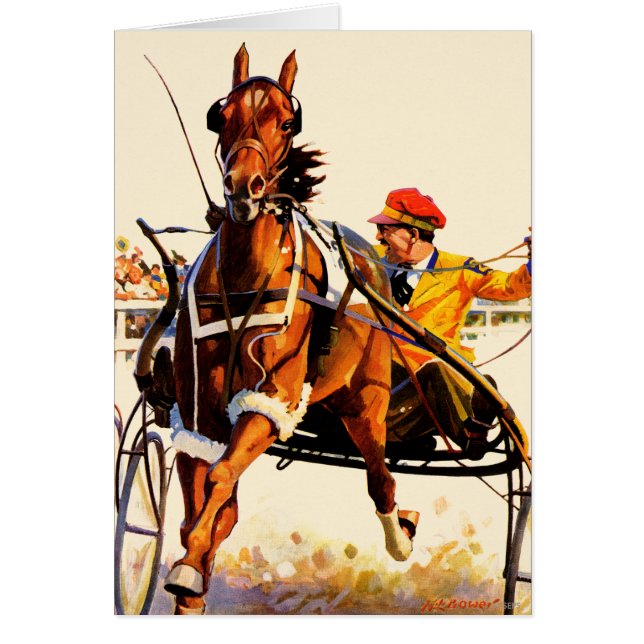 Harness Race (Voorkant)
