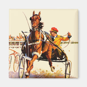 Harness Race Magneet