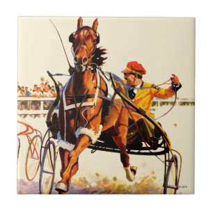Harness Race Tegeltje