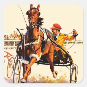 Harness Race Vierkante Sticker