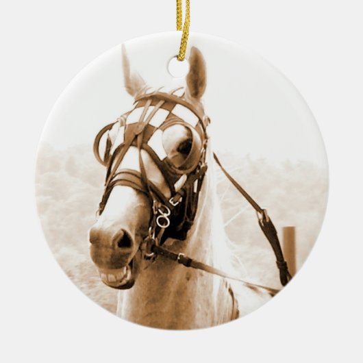 Harness Racing ornament (Voorkant)
