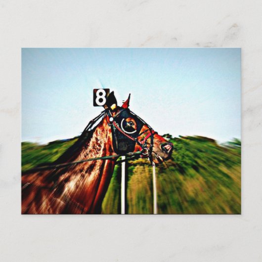 Harness Racing Post Card Briefkaart (Voorkant)