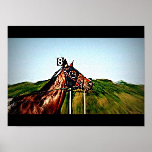 Harness Racing Poster (Voorkant)