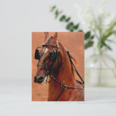 Harness Saddlebred Digital Art Briefkaart (Staand voorkant)