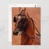 Harness Saddlebred Digital Art Briefkaart (Voorkant / Achterkant)