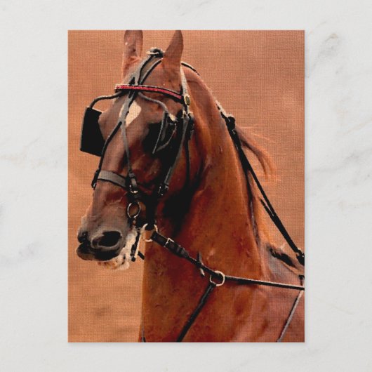Harness Saddlebred Digital Art Briefkaart (Voorkant)