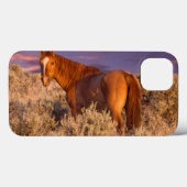 Harney County Wild horse stand alert Case-Mate iPhone Case (Achterkant (horizontaal))