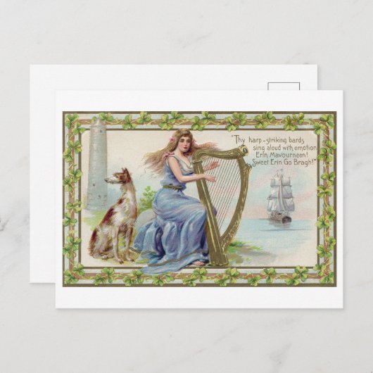 Harp and Dog, Shamrock, St. Patrick's Day,  Briefkaart (Voorkant / Achterkant)