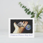 HARP SEAL Earth Day Briefkaarten (Staand voorkant)