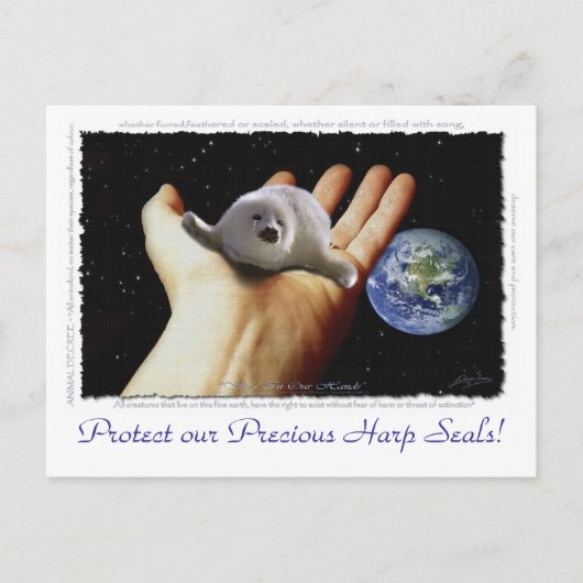 HARP SEAL Earth Day Briefkaarten (Voorkant)
