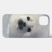 Harp seal Phoca groenlandica) Case-Mate iPhone Case (Achterkant (horizontaal))