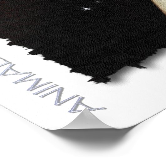 HARP SEAL Protection Jour des terres Art Poster (Coin)