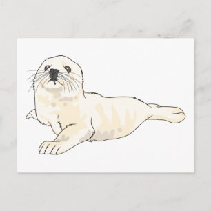 Harp Seal Pup Briefkaart