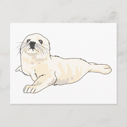 Harp Seal Pup Briefkaart (Voorkant)