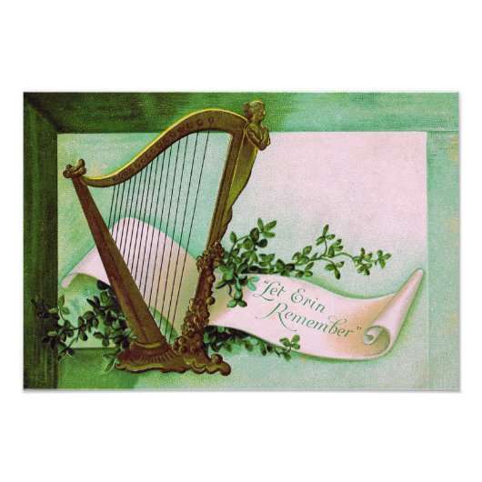 Harp van Erin Shamrock Groen Foto Afdruk (Voorkant)