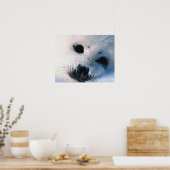 Harp zeehond 2 poster (Keuken)