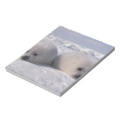 Harp-zeehond (Phoca groenlandica) Notitieblok (Gedraaid)