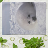 Harp-zeehond (Phoca groenlandica) Theedoek (Gevouwen)