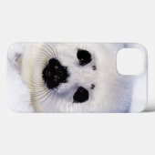 Harp-zeehondenpup in de Golf van St. Lawrence Case-Mate iPhone Case (Achterkant (horizontaal))