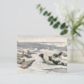 Harp-zegels in Arctische sneeuw door Louis Fuerte Briefkaart (Staand voorkant)