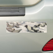  Harp-zegels in Arctische sneeuw door Louis Fuerte Bumpersticker (Op auto)