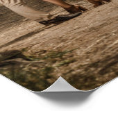 HARPER Moderne Sjabloon van de Fotozetlijst Poster (Hoek)