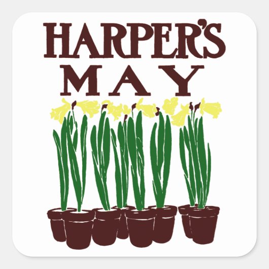 Harper's Edward Penfield Daffodils uit 1899 Vierkante Sticker (Voorkant)