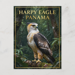 🦅 Harpij-arend Panama Regenwoud Vogel Briefkaart