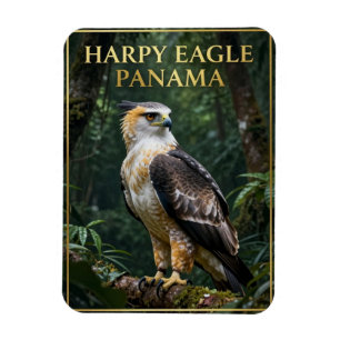 🦅 Harpij-arend Panama Regenwoud Vogel Magneet