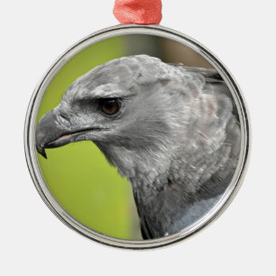Harpy Eagle 2.JPG Metalen Ornament