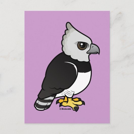 Harpy Eagle Briefkaart (Voorkant)
