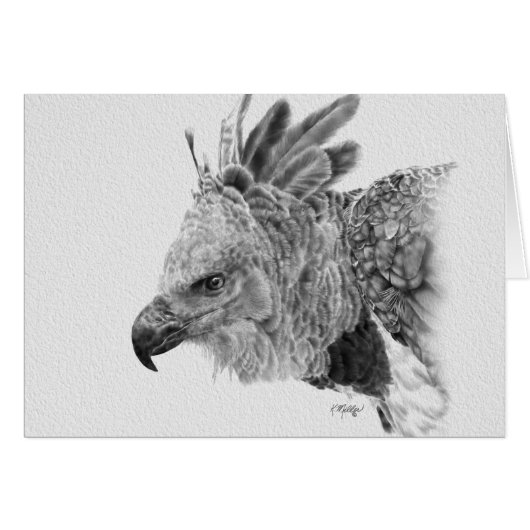 Harpy Eagle Drawing (Voorkant Horizontaal)